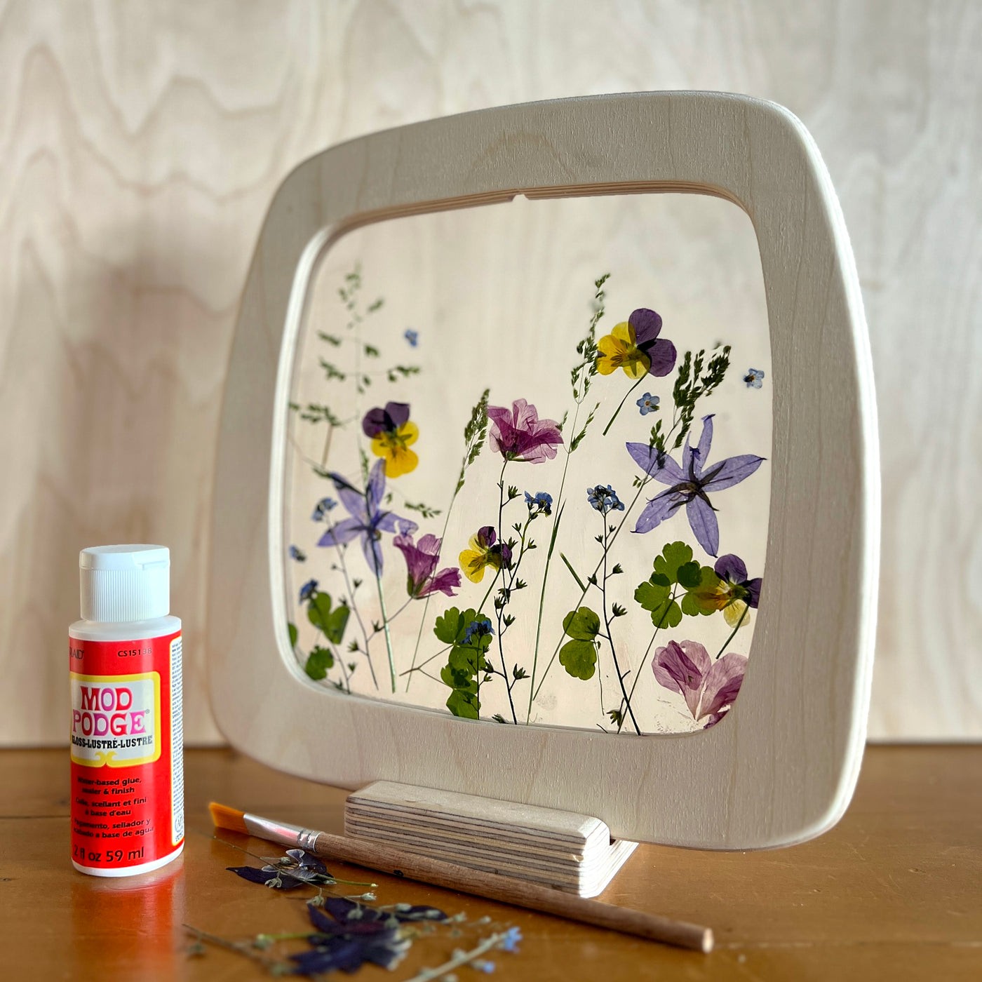 Flower Silhouette Kit