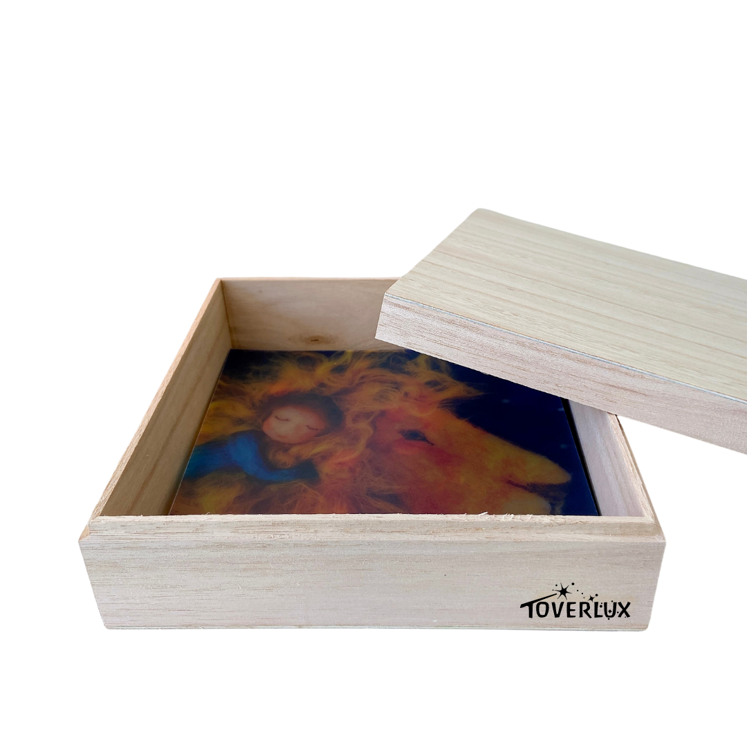 Toverlux Silhouette storage box small